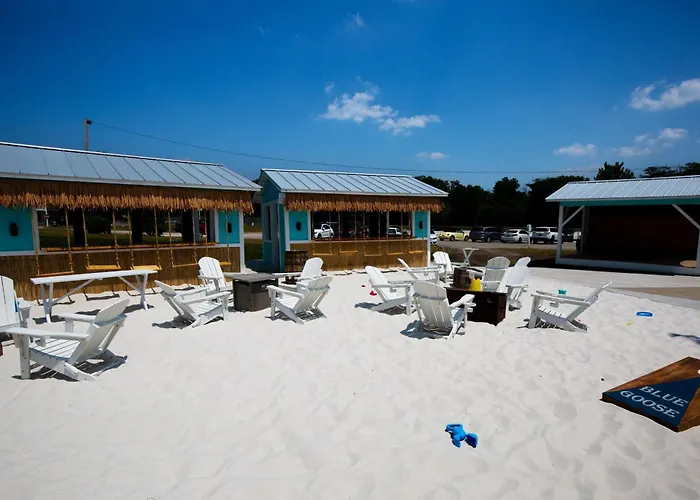 Harbor Haven *